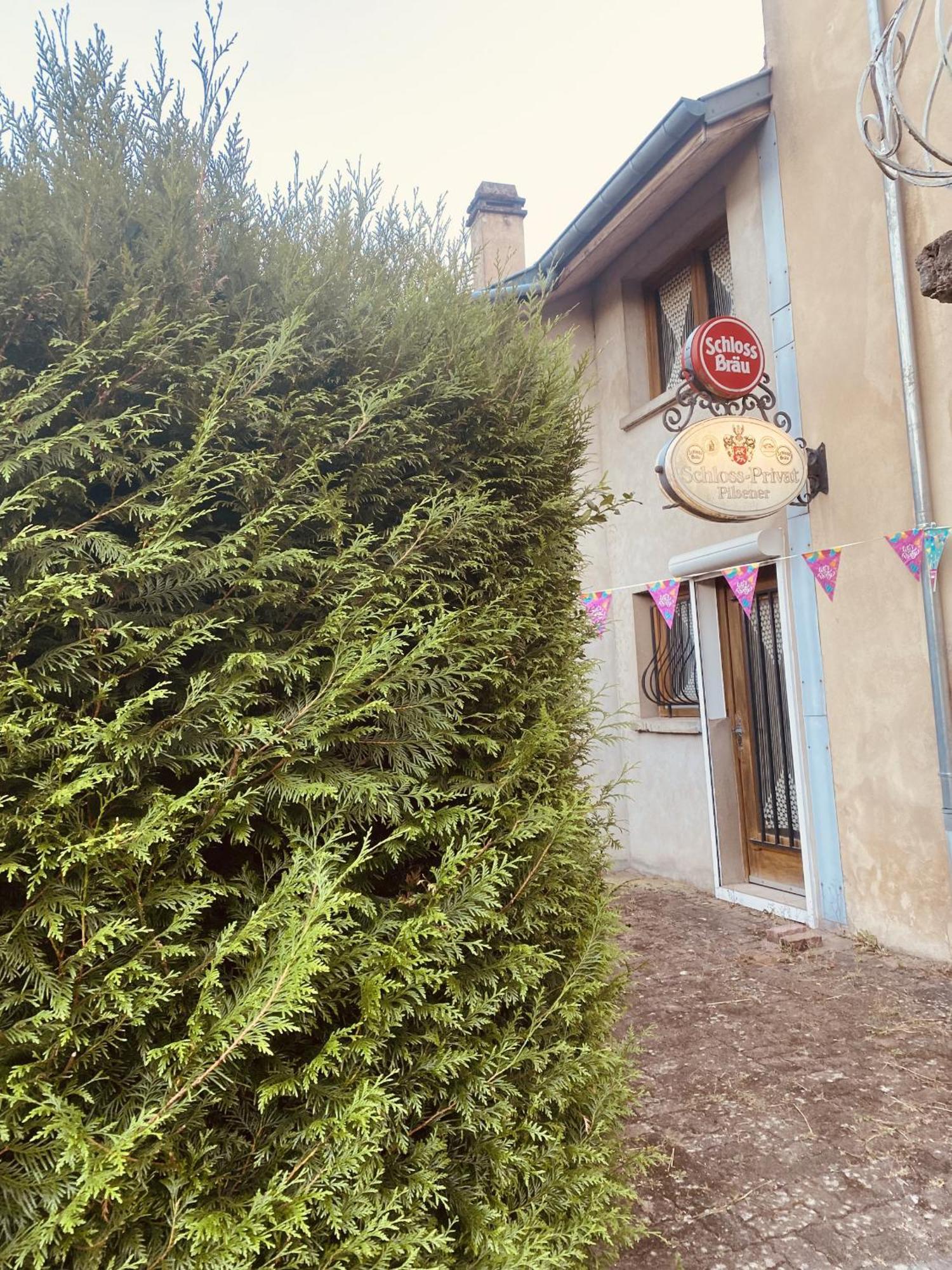 La Mariefacture - Comme A La Guinguette ! Βίλα Hombourg-Haut Εξωτερικό φωτογραφία